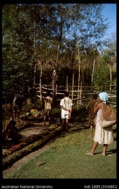 Waiting for the cattle to be slaughtered, Nupasafa