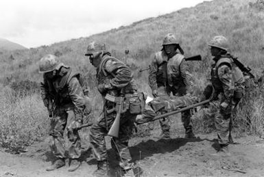 Marines from Company E, 2nd Battalion, 3rd Marine Regiment, 1ST Marine Brigade, simulated the MEDEVAC of an "injured" marine during Operation ZULU WARRIOR, taking place at the Pakalula Training Area