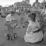 Anthropologist at work. Drums for Mā'ulu'ulu, two lali for lali-beating.