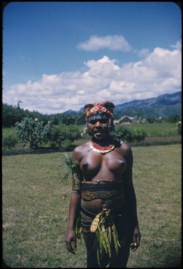 Kobun, one of our visitors : Minj Station, Wahgi Valley, Papua New Guinea, 1954 / Terence and Margaret Spencer