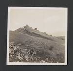 Limestone near the Bena River, Papua New Guinea, 1947