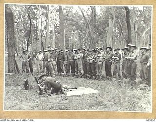 WONDECLA, QLD. 1944-04-05. NX12171 CAPTAIN G.C. WATSON OF THE 2/2ND INFANTRY BATTALION SETTING UP A 2" MORTAR COMPLETE WITH A "JUNGLE SIGHT" WHICH WAS PERFECTED BY MEMBERS OF THE UNIT FOR WORK IN ..