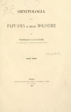 Ornitologia della Papuasia e delle Molucche : parte prima-[terza]