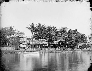 View of the Shoreline