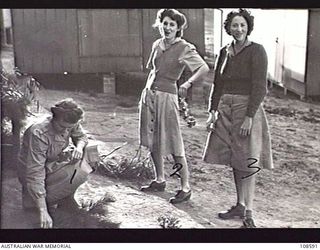 CANBERRA, ACT, 1945-05-29. AUSTRALIAN WOMEN'S ARMY SERVICE MESS ORDERLIES MAKING UP TABLE DECORATIONS FOR THE BREAKING-UP DINNER AT THE CONCLUSION OF THE FIRST COURSE OF THE LAND HEADQUARTERS ..