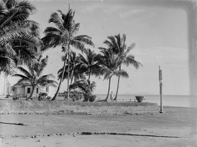 [Woman standing atop a sea wall in the Pacific Islands]