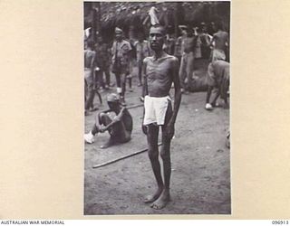 KUMUIA YAMA, RABAUL AREA, NEW BRITAIN. 1945-09-17. SHAIK AHAMAD, A TYPICAL EXAMPLE OF THE WASTED CONDITION OF INDIAN TROOPS AT THE INDIAN PRISONER OF WAR CAMP WHO HAVE SUFFERED ILL TREATMENT AND ..