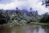 French Polynesia, landscape and mountains of Moorea Island