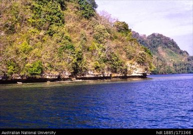 Cliffs near Naveo showing two sea-cut notches