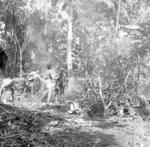 Food preparation, covering the umu