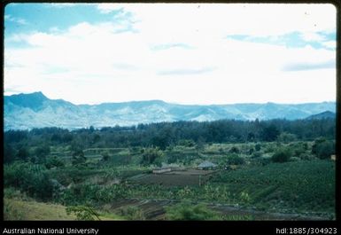 Gardens at Gefamo