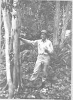 Ninth General Hospital. World War II. A. Whifield Hawkes, MD at Goodenough Island.