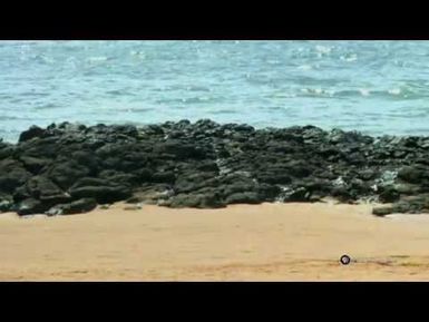 PBS Hawaii - HIKI NŌ Episode 307 |Chiefess Kamakahelei Middle School | Monk Seals