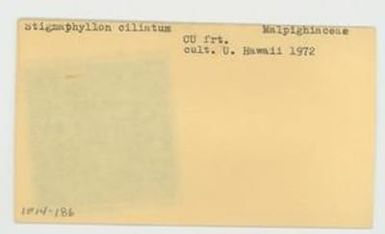 [Stigmaphyllon ciliatum in Hawaii, envelope IE14-186]