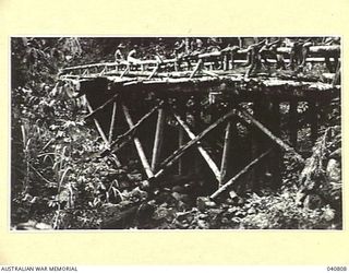 Ramu Valley, New Guinea. 1944-03. A view of a Japanese built road between Bogadjim and the Ramu Valley. The photograph was taken during a reconnaissance by Lieutenant Colonel R.B. Wood, Commanding ..