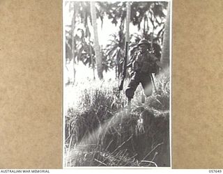 RAGITSUMA, NEW GUINEA, 1943-09-30. INFANTRYMAN OF THE 2/27TH AUSTRALIAN INFANTRY BATTALION LEAPING FROM THE BANK TO CROSS THE YATI RIVER