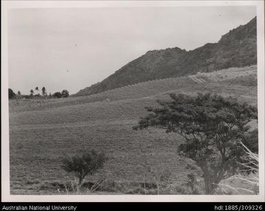 Baghelu's farm, Wailoko District, Esivo Sector