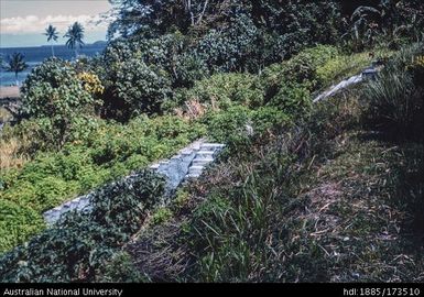 Steps of old house, Ralum Plantation, near Kokopo