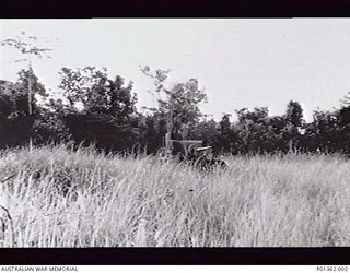 BUNA, PAPUA. 1952. AN AMERICAN GENERAL STUART M3 LIGHT TANK ABANDONED AMONGST THE KUNAI GRASS. IN 1942-12 THIS WAS MANNED BY 2/6TH ARMOURED REGIMENT IN SUPPORT OF 2/10TH BATTALION TROOPS ATTACKING ..