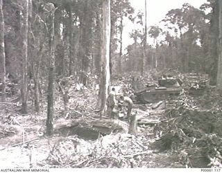 THE SOLOMON ISLANDS, 1945-04-24/27. TANK CREWS OF THE 2/4TH AUSTRALIAN ARMOURED REGIMENT SETTING UP CAMP IN A JUNGLE CLEARING, WITH THEIR TANKS IN THE BACKGROUND, ON BOUGAINVILLE ISLAND. (RNZAF ..