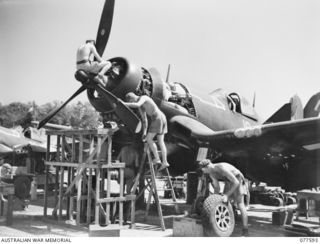 PERSONNEL OF NO. 3 SERVICING UNIT, HEADQUARTERS, ROYAL NEW ZEALAND AIR FORCE OVERHAULING A CHANCE-VOUGHT "CORSAIR" AIRCRAFT OF NO. 16 SQUADRON, ROYAL NEW ZEALAND AIR FORCE