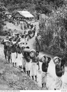 1943-06-28. NEW GUINEA. WAU-MUBO AREA. NATIVE CARRIERS SET OUT ALONG THE TRACK IN THE WAU-MUBO AREA. CARRYING SUPPLIES TO FORWARD AREAS. (NEGATIVE BY G. SHORT)