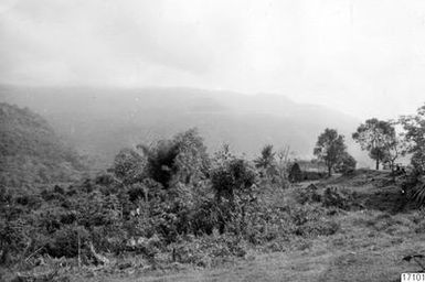 mountain, landscape, forest, building, house, photography,