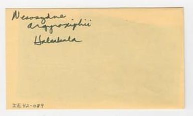 [Nesosydne argyroxiphii in Hawaii, envelope IE42-089]