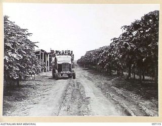 NADZAB, NEW GUINEA. 1945-09-14. NATIVES BEING TRANSPORTED TO WORK AT 8 INDEPENDENT FARM PLATOON TRAVEL IN A JAPANESE TRUCK WHICH HAS BEEN REBUILT BY FARM PERSONNEL. THEY MOVE ALONG A PAW PAW DRIVE ..