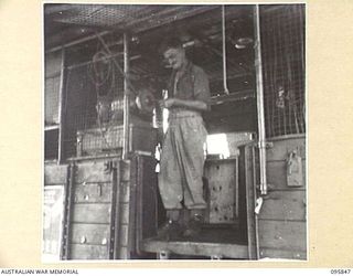 CAPE WOM, WEWAK AREA, NEW GUINEA. 1945-08-30. WARRANT OFFICER 2 W.A. NICHOLS, 2/42 LIGHT AID DETACHMENT, CORPS OF AUSTRALIAN ELECTRICAL AND MECHANICAL ENGINEERS, GRINDING TOOLS