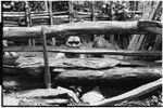 Bomagai: woman, wearing clay as sign of mourning, and young child peer through fence