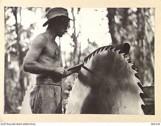 CAPE CUNNINGHAM, NEW BRITAIN, 1944-12-16. SAPPER G F CAVANAGH, 2/2 FORESTRY COY, AT WORK SHARPENING SAWS
