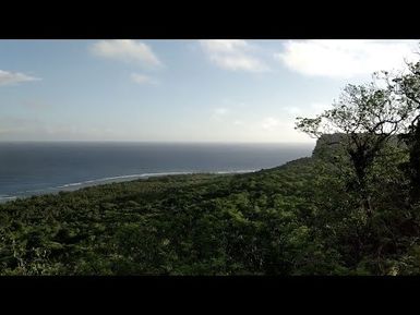 Ancient Plants and People | Ep.15