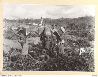 QX21497 Private N S Maxwell (1), watching native carriers carrying cases of fresh vegetables to the army service corps store at Ulebilum Ridge in the Yamil sector, New Guinea. The supplies are ..