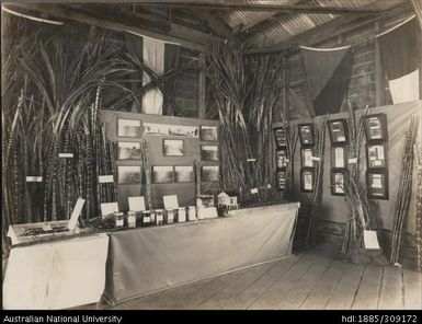 Suva Show exhibit