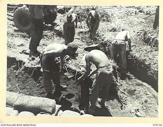 TSIMBA AREA, BOUGAINVILLE ISLAND. 1945-02-17. PERSONNEL OF E TROOP, NO. 12 BATTERY, 4TH FIELD REGIMENT DIGGING IN ON THEIR NEW POSITIONS ON TSIMBA RIDGE