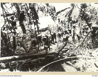 BOUGAINVILLE ISLAND. 1944-11-25. AUSTRALIAN NEW GUINEA ADMINISTRATIVE UNIT NATIVE CARRIERS CLIMBING THE WINDING SISIVA TRAIL WITH AMMUNITION AND WEAPONS FOR A COMPANY, 9TH INFANTRY BATTALION WHICH ..