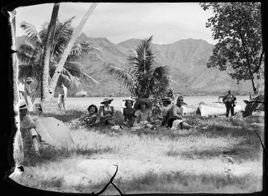 [View of a group of people seated on grass next to palm trees]