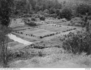 KOKODA, NEW GUINEA. 1944-04-11. THE KOKODA WAR CEMETERY VIEWING EASTWARDS FROM THE KOKODA PLATEAU WITH THE JAPANESE WAR CEMETERY AT THE LEFT FOREGROUND. THE TEMPORARY GRAVES FROM THE AREA BETWEEN ..