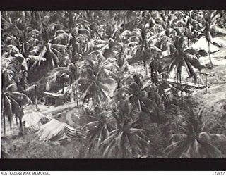 BORAM, NEW GUINEA. 1943-09. JAPANESE QUARTERS IN PALMS AT THE AIRSTRIP NEAR WEWAK