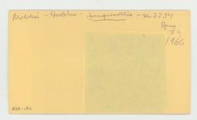 [Jacquemontia in Hawaii, envelope IE28-197]