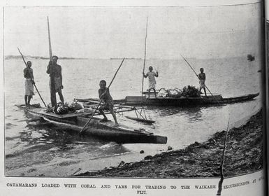 Catamarans loaded with coral and yams for trading to the S S Waikare excursionists