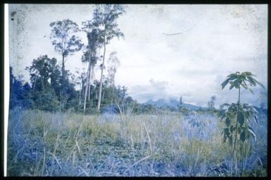 Mt. Lamington from Popondetta, 1951, 2 / Albert Speer