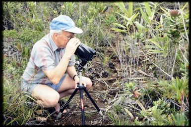 John Dawson filming Melaleuca 'dawsoni'. Maquis at 330 m