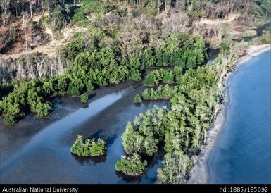 Wapolu, aerial views of the swamp/lagoon at Wapolu