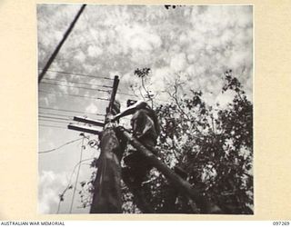 CAPE PUS, NEW GUINEA. 1945-09-29. PRIVATE W.G. TUCKWELL, 2/3 INFANTRY BATTALION, REPAIRING SIGNAL WIRE