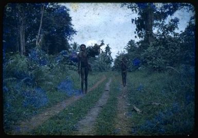 Sasambata [i.e. Sasembata] Road, 1951 / Albert Speer