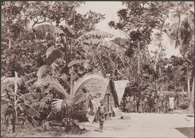 Villagers gathered in front of two houses in the village of Ara, Banks Islands, 1906 / J.W. Beattie