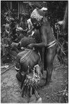 Pig festival, pig sacrifice, Tsembaga: behind ritual fence, Tsembaga prepare to distribute pork to allies