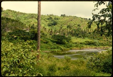 Village by the Sigatoka River?, Fiji, 1971